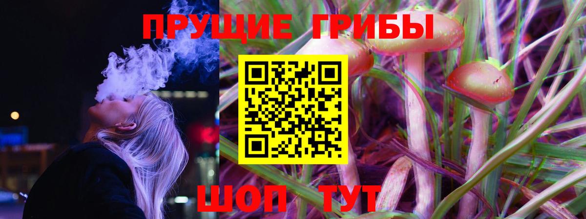Галлюциногенные грибы Cubensis Алейск